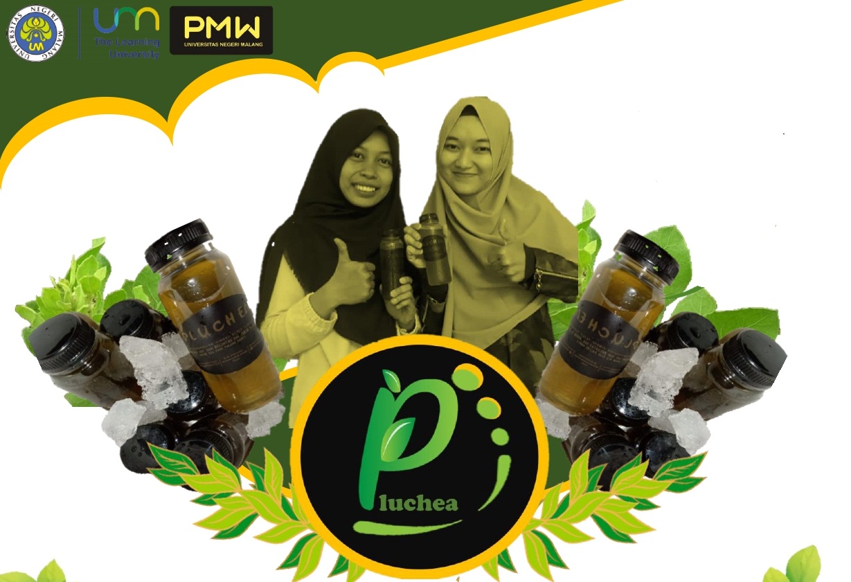 [PRODUK] PLUCHEA