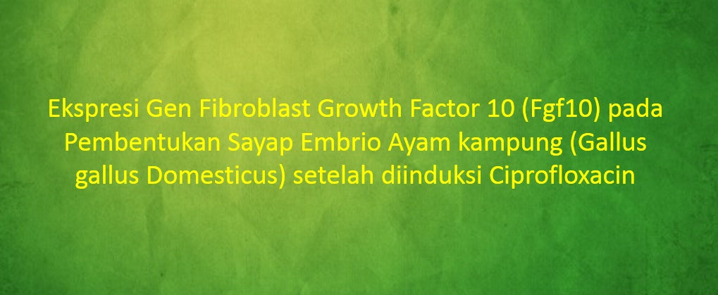 [SKRISPSI] Ekspresi Gen Fibroblast Growth Factor 10 (Fgf10) pada Pembentukan Sayap Embrio Ayam kampung (Gallus gallus Domesticus) setelah diinduksi Ciprofloxacin