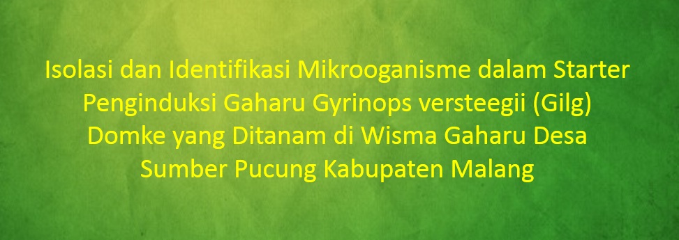 [SKRIPSI] Isolasi dan Identifikasi Mikrooganisme dalam Starter Penginduksi Gaharu Gyrinops versteegii (Gilg) Domke yang Ditanam di Wisma Gaharu Desa Sumber Pucung Kabupaten Malang