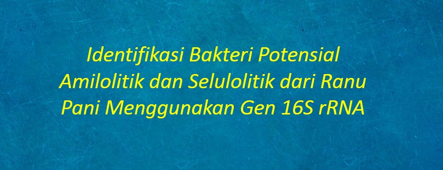 [SKRIPSI] Identifikasi Bakteri Potensial Amilolitik dan Selulolitik dari Ranu Pani Menggunakan Gen 16S rRNA