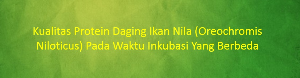 [SKRIPSI] Kualitas Protein Daging Ikan Nila (Oreochromis Niloticus) Pada Waktu Inkubasi Yang Berbeda
